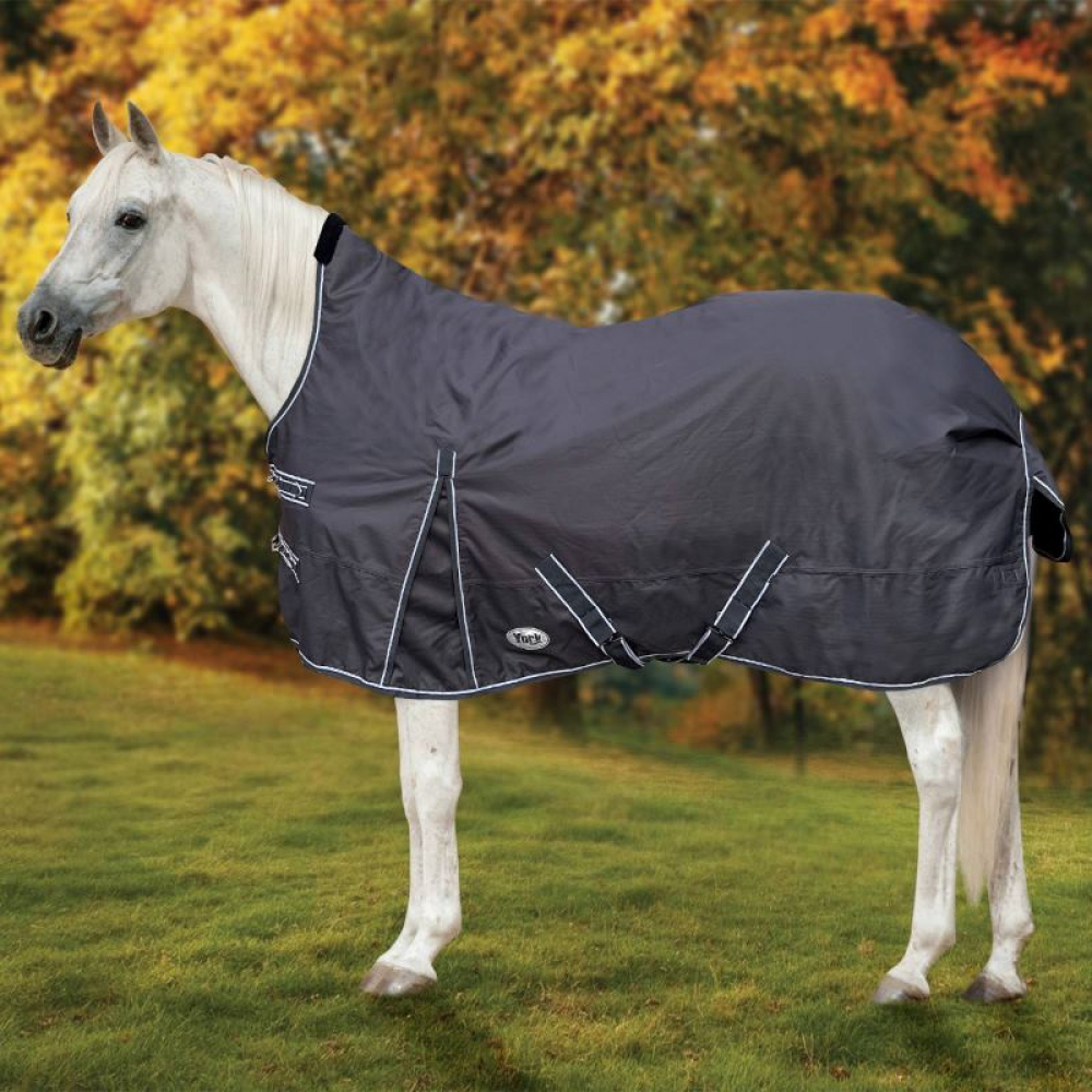 Regendecke High Neck 100g für Pferde